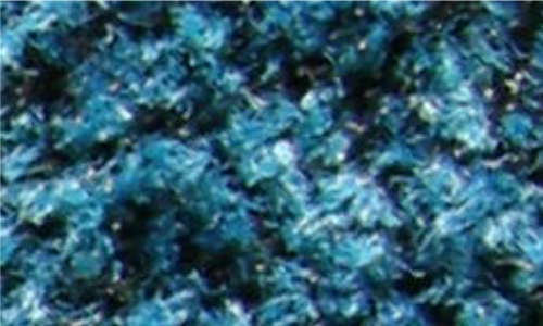 Sauberlauf Coral Brush Bondi blue