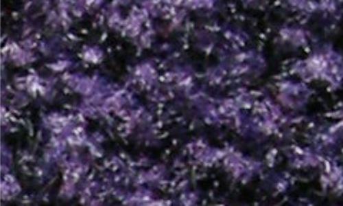 Sauberlauf Coral Brush royal purple