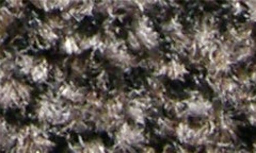 Sauberlauf Coral Brush shark grey